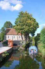 The River Stour behind the Marlowe Theatre, Canterbury by Diana Forrest